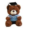 Stuffed Toy Doctor Cap Graduation Bear Doll Sitting Bear Plush Toys  Birthday Graduate Gifts