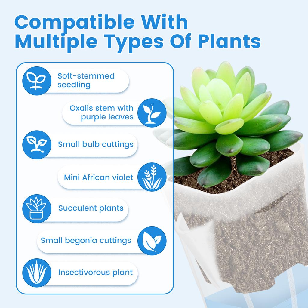 12 Pcs Self Watering Plant Pot Transparent Double Layer Plastic with Drainage Holes Cotton Rope Watering Small Nursery Pot