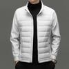 Men's Lightweight Patchwork Down Jacket - Warm Stand Collar Top for Business Casual, Autumn/Winter 2025 Collection