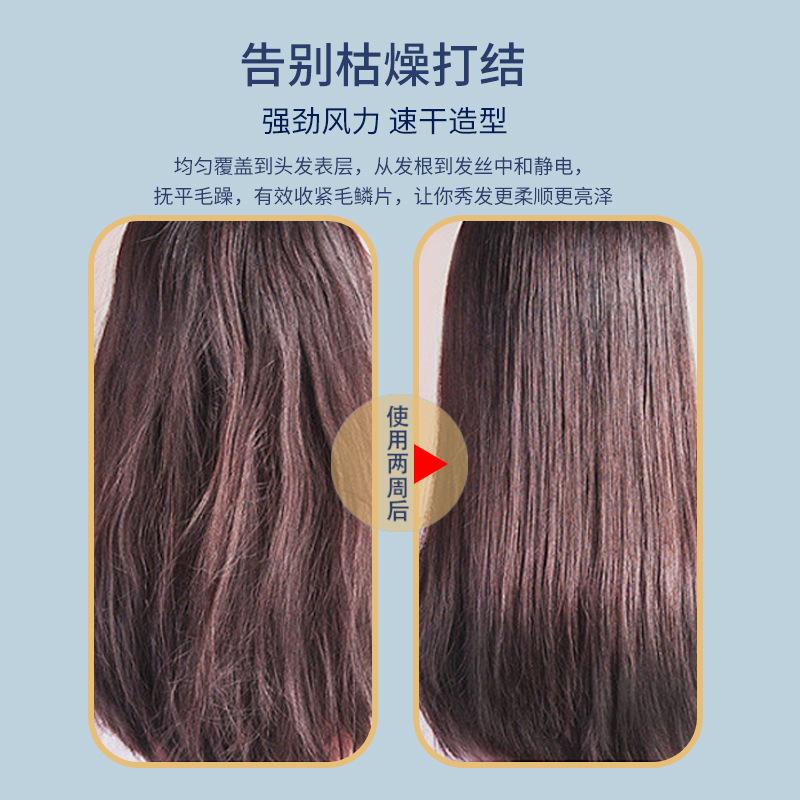 Hair Salon High-power Hair Dryer