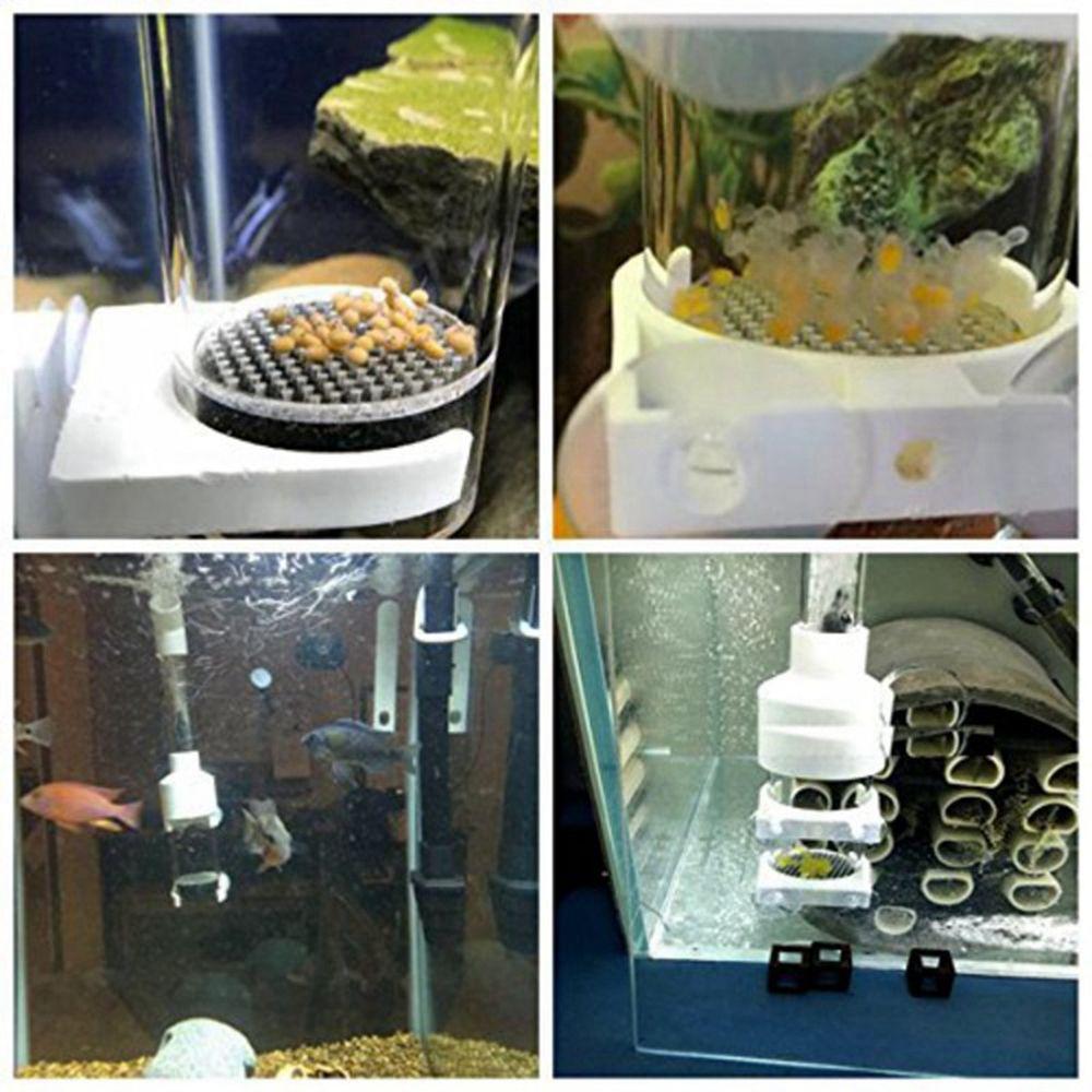 Fish Tank Supplies Aquarium Fish For Aquarium Tumbler Incubator Egg Tumbler Fish Incubator Hatchery