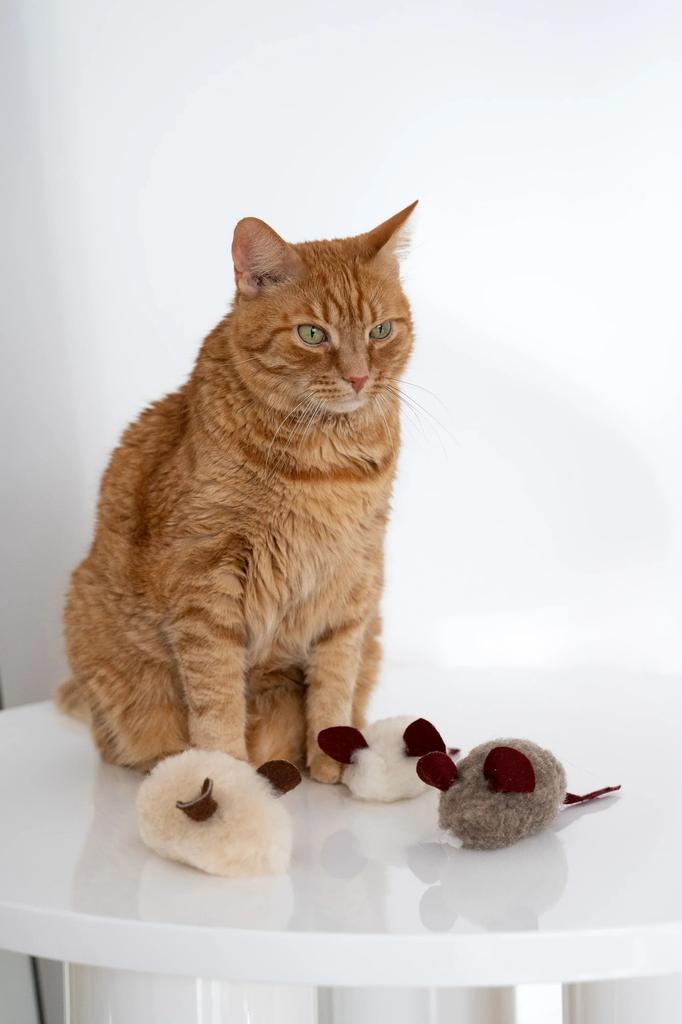 Natural Woolen Cat Toy: Mouse String
