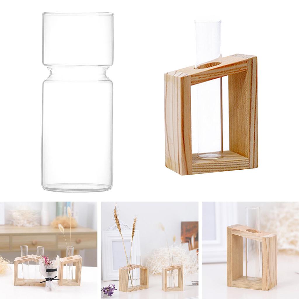 Clear Glass Flower Vase Hydroponic Plant Holder Container Bud Vase for Small Flowers