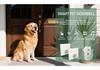 Chenji Wireless Waterproof Pet Doorbell - Self-Powered Entry Bell for Puppies