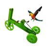 Interactive Parrot Training Bicycle Plastic Birds Playthings Bike  Training