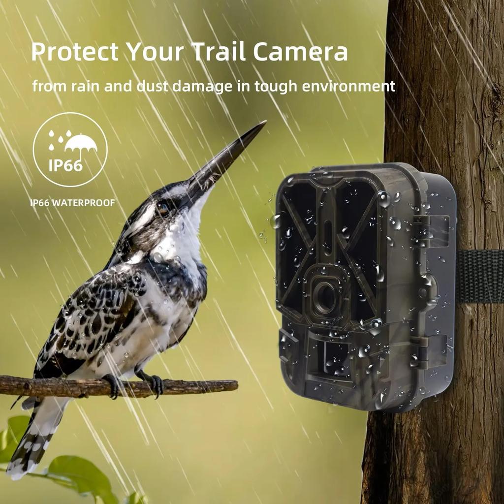 50MP 4K Fototrappola per fauna selvatica HC940AA senza batteria al litio IP65 Visione notturna Sorveglianza wireless Trappola fotografica da caccia