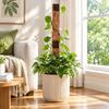 Wooden Plant Climbing Trellis Hollow Out Plant Fixed Frame Plant Support Frame  Climbing Plant