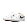 New Nike Blazer Low 77 The World Is Your Playground GS DJ5201-106