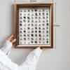 100 Kinds of Natural Ore Specimen Ornaments, with Glass Dust Cover, Decorative Paintings, Crystal Gems, Birthday Gifts