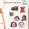 Großhandel Individuell Niedlich Acryl Kühlschrankmagnete Souvenirs Kreativ Cartoon Haustier Stern Fotos Kühlschrankmagnet Dekoration Geschenke
