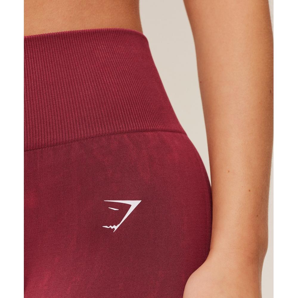 Gymshark Everyday Seamless Washed Legging 2.0 Red Wash B6b8x Rccj