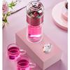 Tianxi Double Wall Glass Tea Infuser Bottle
