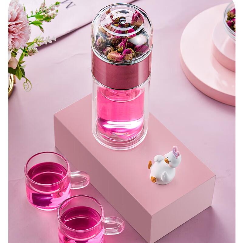 Tianxi Double Wall Glass Tea Infuser Bottle