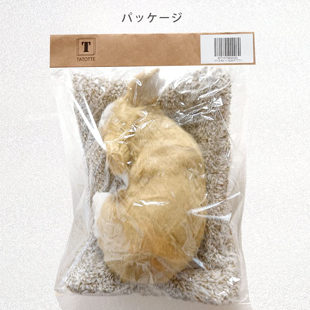 TATOTTE Realistische Plüschhundfigur mit einem niedlichen schlafenden Gesicht, Aktivkohle enthalten, Beruhigende Dekoration (Chihuahua CR)