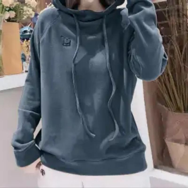 Herbst und Winter Gebürstetes Besticktes Kapuzensweatshirt Winter Neu Doppelseitiger Deutscher Samt Lässig Vielseitiges Basic-Oberteil