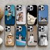 Cool Cat Cute  Phone Case For iPhone17, 16,15,14,13,12 Pro Max Black Candy Matte Shockproof Cover