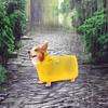 Dog Raincoats Puppy Rain Jacket Poncho Cute Duck Shape Adjustable Dog Clothes For Outdoor Travel Walking