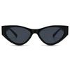 Trendy Cat-Eye Sunglasses for Women and Men Cross-Border Fashion Narrow Model Street Style Lh214