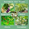 100/300-Piece Plant Support Clip Set – 3x0.9cm Garden Trellis Clips For Tomatoes, Cucumbers, Roses, Vines – Hollow Design, Reusable