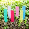Garden Plant Label Plastic Arrow Sign Nursery Seedling Tray Marker Flower Bonsai Number Plate DIY Gardening Tool Multiple Colors