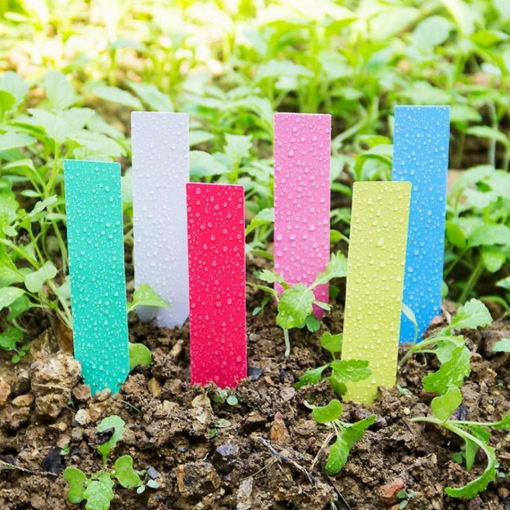 Garden Plant Label Plastic Arrow Sign Nursery Seedling Tray Marker Flower Bonsai Number Plate DIY Gardening Tool Multiple Colors