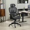 Multi-Adjustable Mesh Office Chair - Black