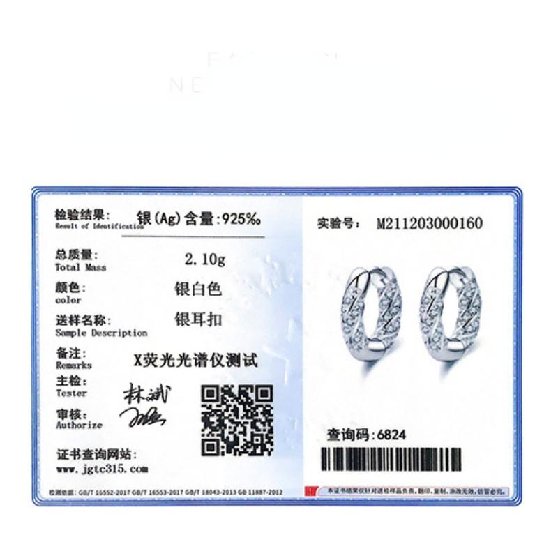 Tancise 925 Sterling Silver Zircon Earrings Drop Earrings For Women Wedding Party Gifts