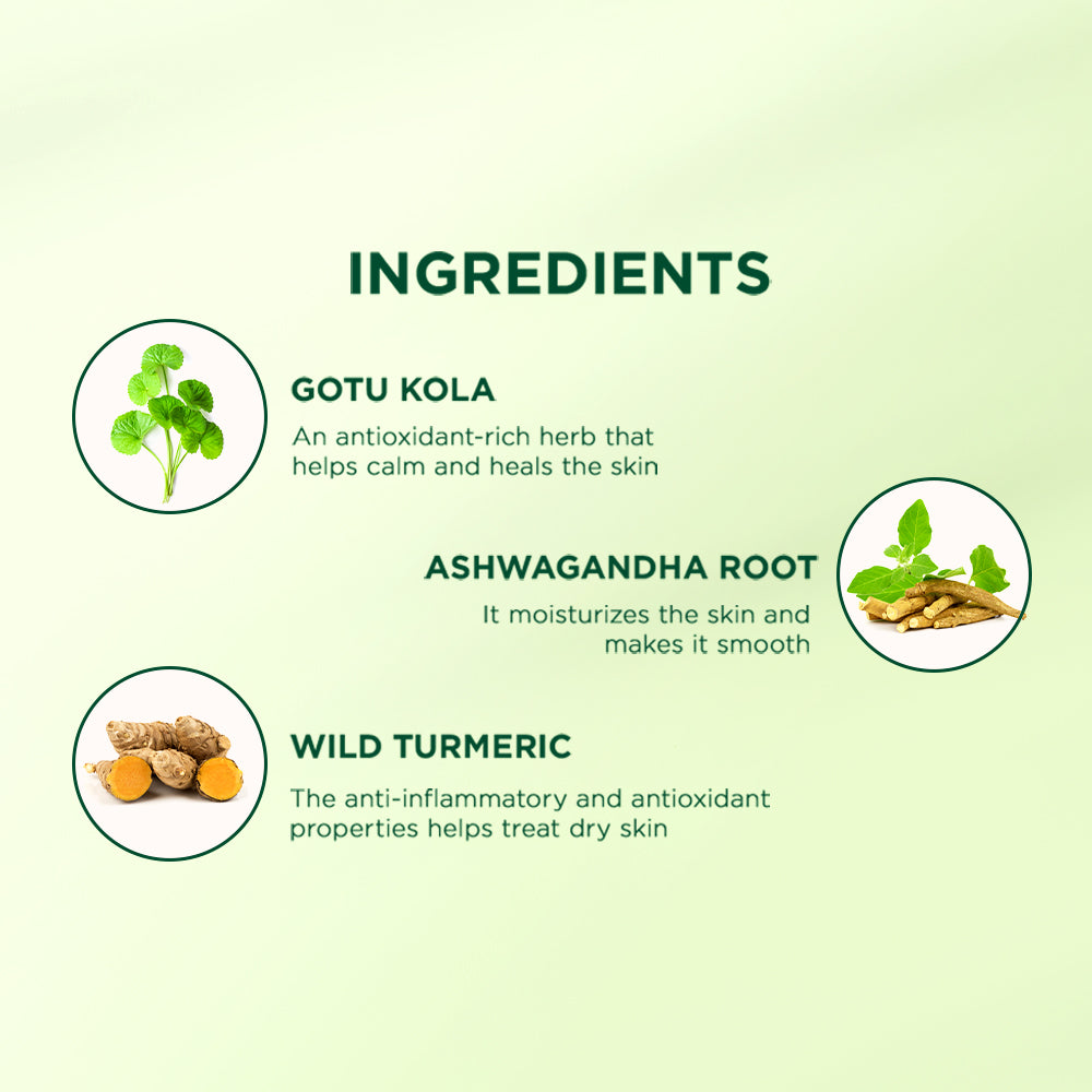 Biotique Gotu Kola Body Lotion For Dry Skin 300ml – Natural Hydration, Smooth & Soft Skin, Nourishing Cream