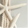 Starfish Starfish Fixing Curtain Tie Natural Curtain Buckle Starfish Curtain Tie Rope  Bedroom
