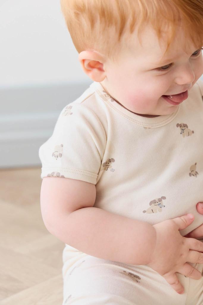 Organic Cotton Short Sleeve Bodysuit Sasha Puppy Tofu JBCO251241 Baby IVR 70 [Jamie Kay]