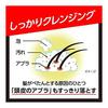 Success Shampoo Volume Up Type Main Body