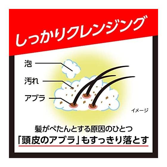 Success Shampoo Volume Up Type Main Body