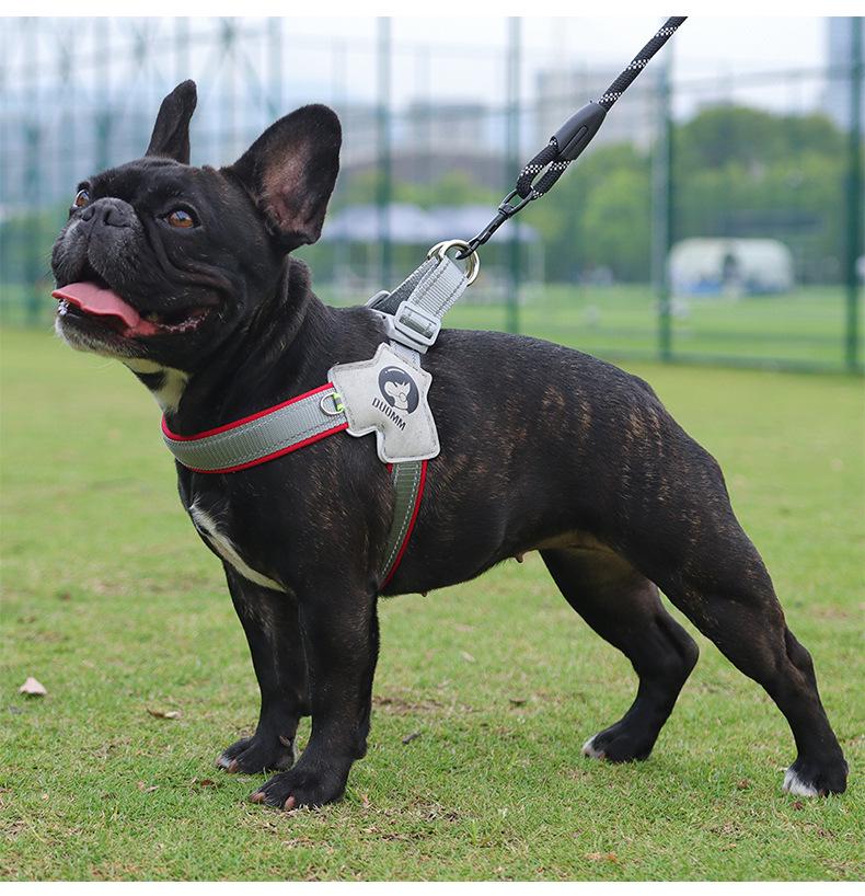 Adjustable Vest Dog Harness and Leash Set for Small to Medium Breeds - Corgi, Shiba Inu, French Bulldog
