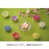 Kameyama Blumen Geschenkset Floating Seasonal aus Pflanzenmaterialien (Pflanzlich) Kerze, Blumen,