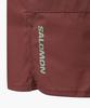 Sallomon Trien 4-Inch Shorts W_Ld0095800