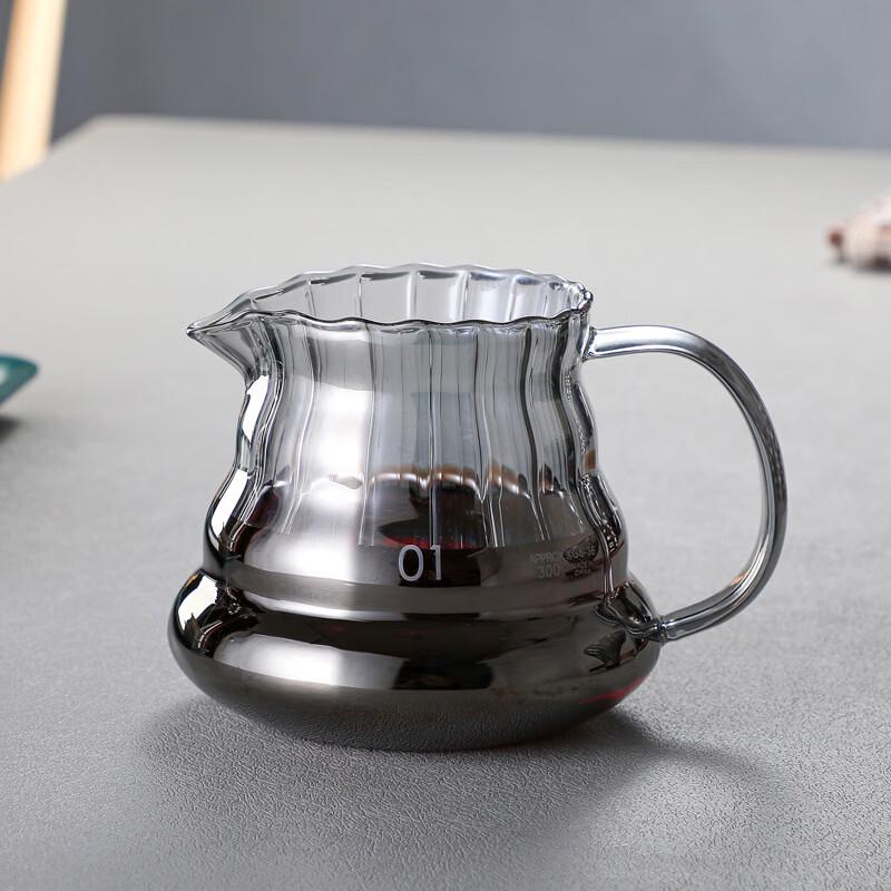 TLXT Pour Over Coffee Pot Set