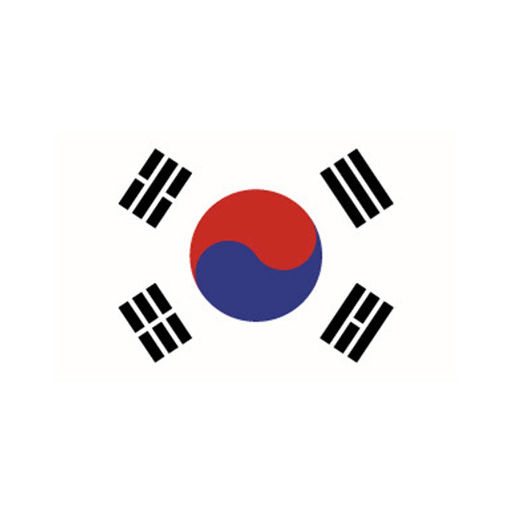 Fashion Flag Stickers 60*80mm 2022 Face Temporary Sticker