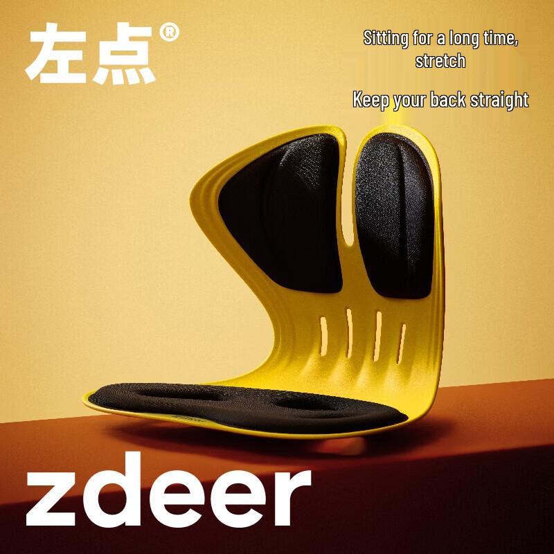 ZuoDian Posture Correcting Lumbar Support Cushion