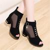 Fish Mouth Mesh Sandals Women's Thick Heel Medium Heel Fashion High Heels 2025 Spring and Summer Hollowed Out New Versatile Women's Cool Boots