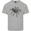 A Tarantula Spider Unisexs Light Cotton TShirt