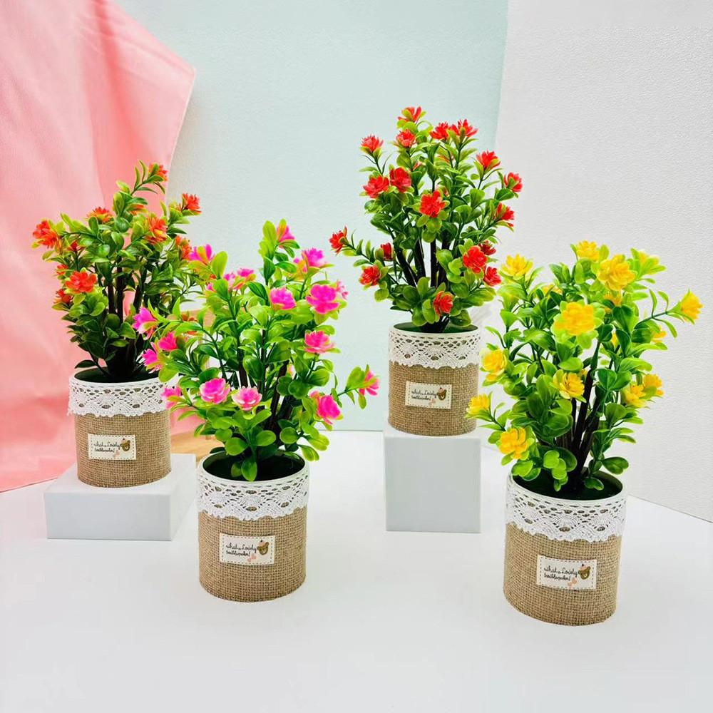 Camellia Sasanqua Floral Pot Potted Plant For Wedding Table And Space Green