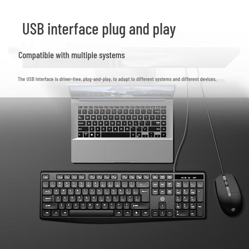 HP Wired Keyboard Mouse Combo