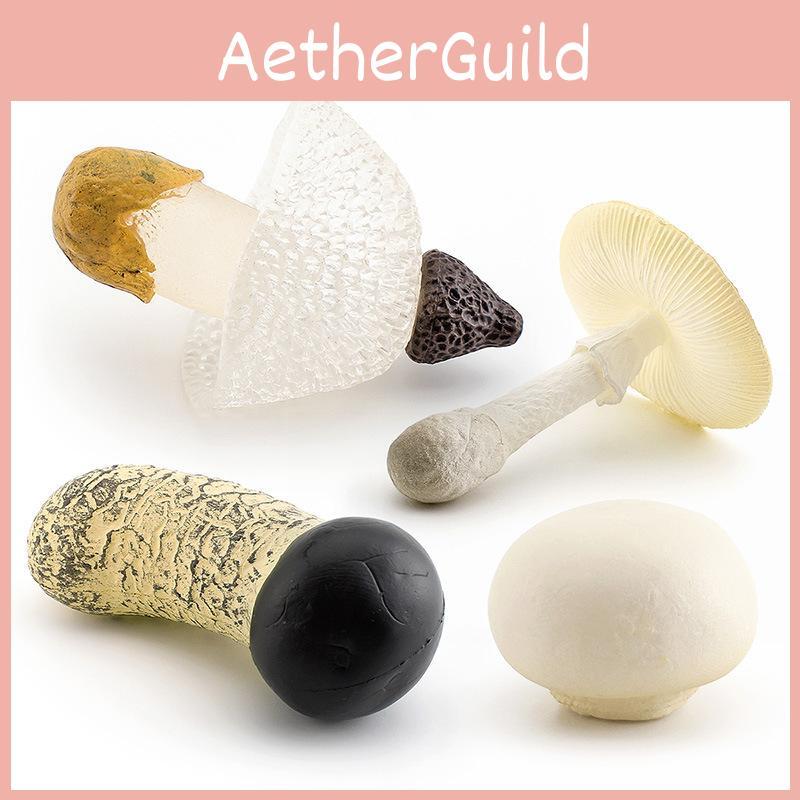 Realistic Mushroom Set Featuring Edible Shiitake Enoki Matsutake Poisonous Umbrella Decorative Models Ideal For Home Display