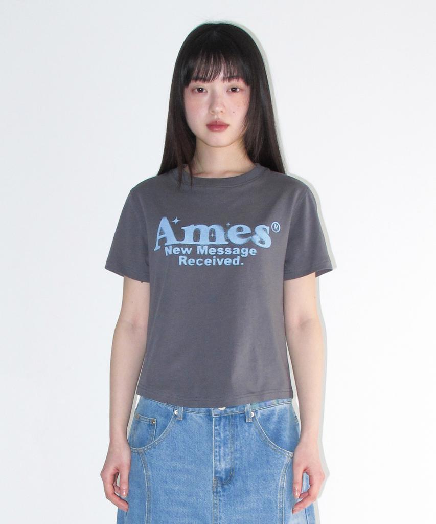 AMES-WORLDWIDE Round Hem Crop Tee Light Charcoal