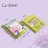 Exquisite folding watercolor painting, adult watercolor coloring book and coloring book set