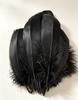 Large Soft Goose Feathers 14-18cm for DIY Dreamcatchers, Flowers & Crafts