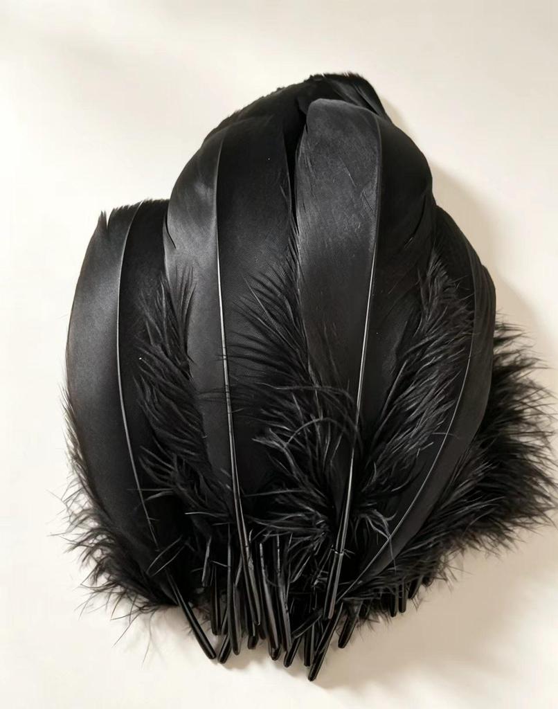 Large Soft Goose Feathers 14-18cm for DIY Dreamcatchers, Flowers & Crafts