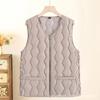 Vest Women's Vest High-end Short Vest Spring and Autumn Wear Down Cotton Clothes Winter Women's Vest