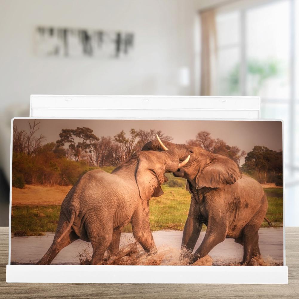 3D 14 Inch Universal Screen Magnifier Smartphone Amplifier with Foldable Bracket for VideoWhite 14 Inch