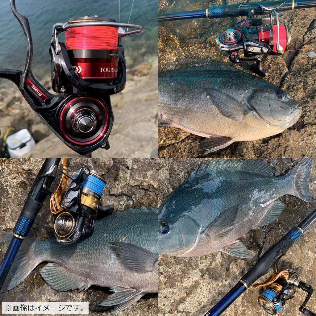 DAIWA Michito Astron Iso MAX Gamma 2 SBM1.85-150